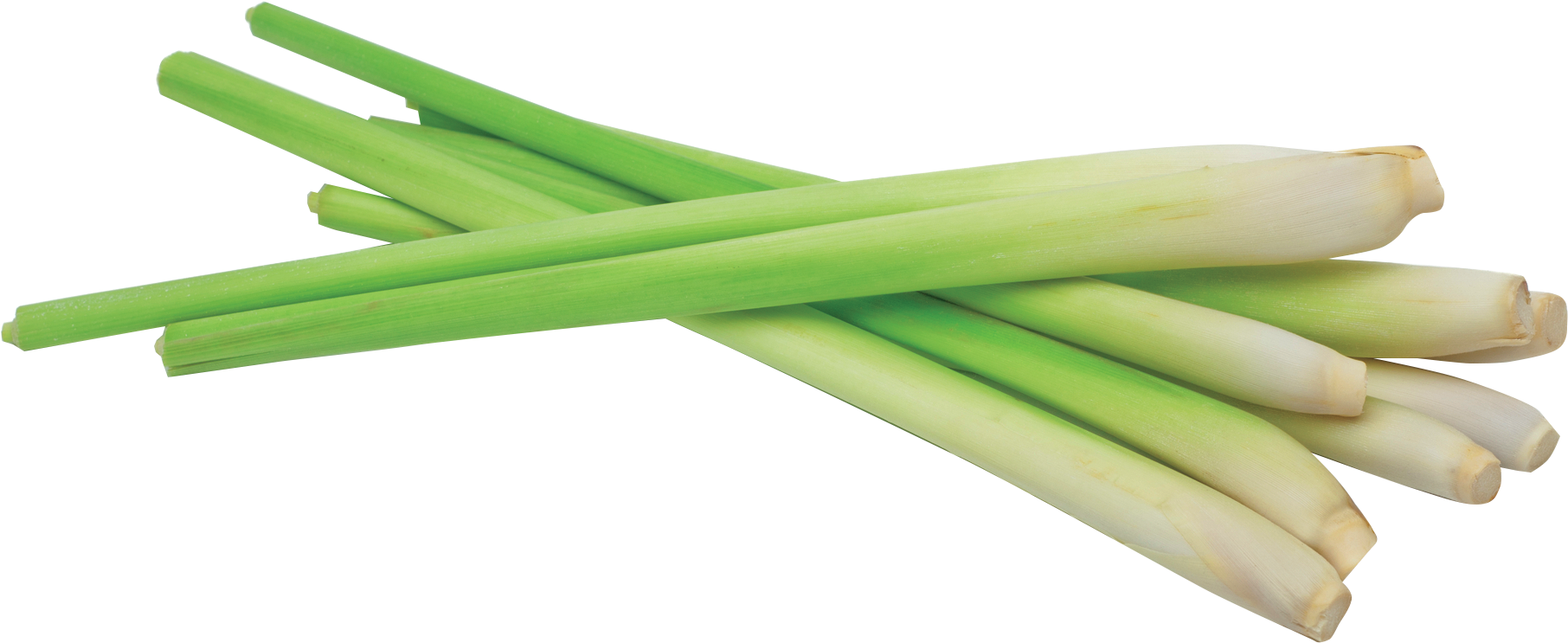 Png Lemon Grass (500x500), Png Download