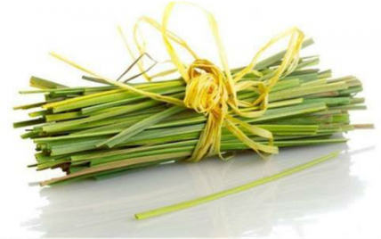 Beauty Benefit Of Lemongrass Oil (427x427), Png Download