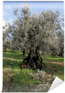 Greece (400x400), Png Download