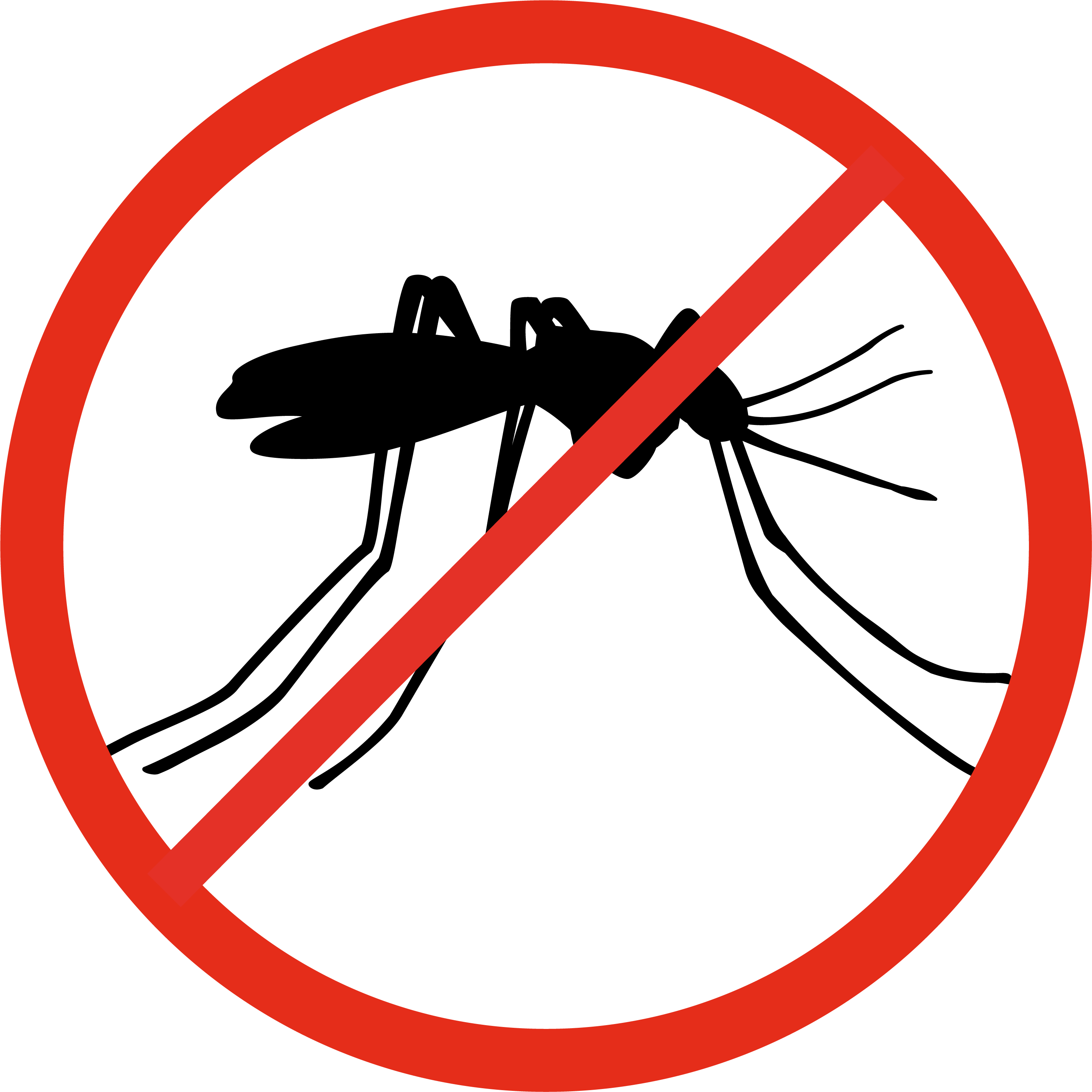 No Feeding Birds Sign (2891x2891), Png Download