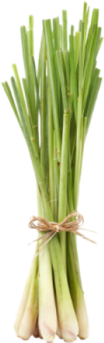 Free Lemongrass (500x500), Png Download