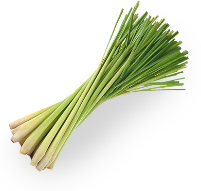 Welcome - 100% Confident All Natural Deodorant Spray With No (412x407), Png Download