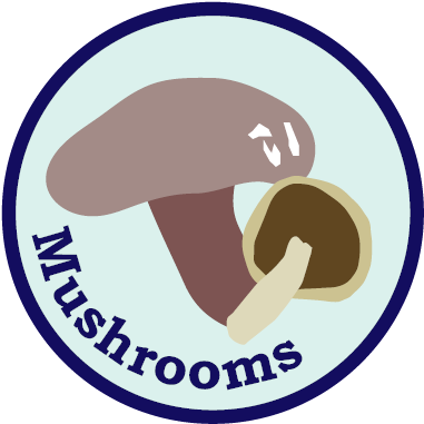 Mushrooms - Portable Network Graphics (417x417), Png Download