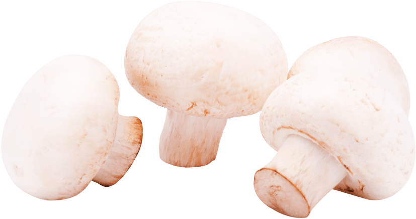 Free Png Mushrooms Png Images Transparent - Portable Network Graphics (850x461), Png Download