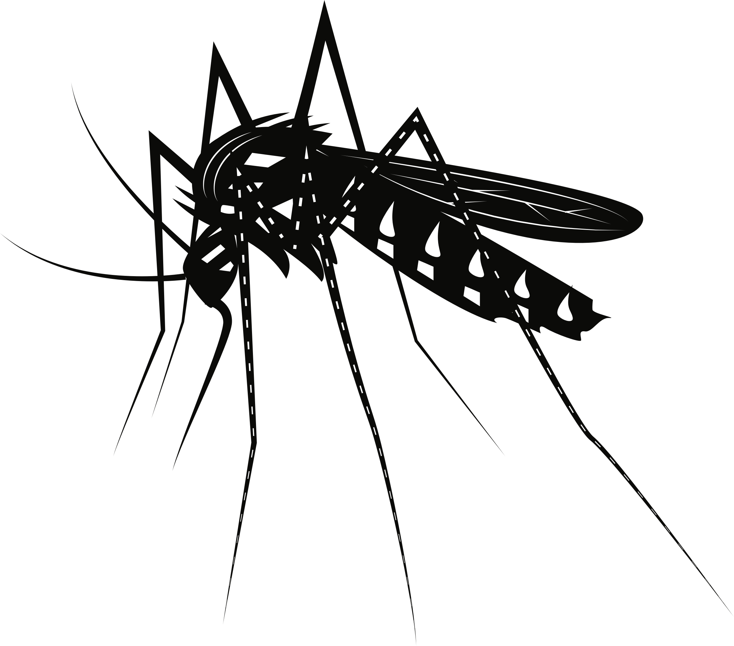 Big Image - Mosquitoes Con Fondo Blanco Y Negro (2397x2110), Png Download