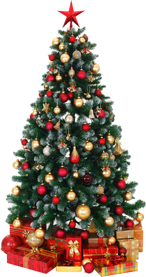 There Was An Error Processing Your Signup - Decorated Christmas Tree Png (294x557), Png Download