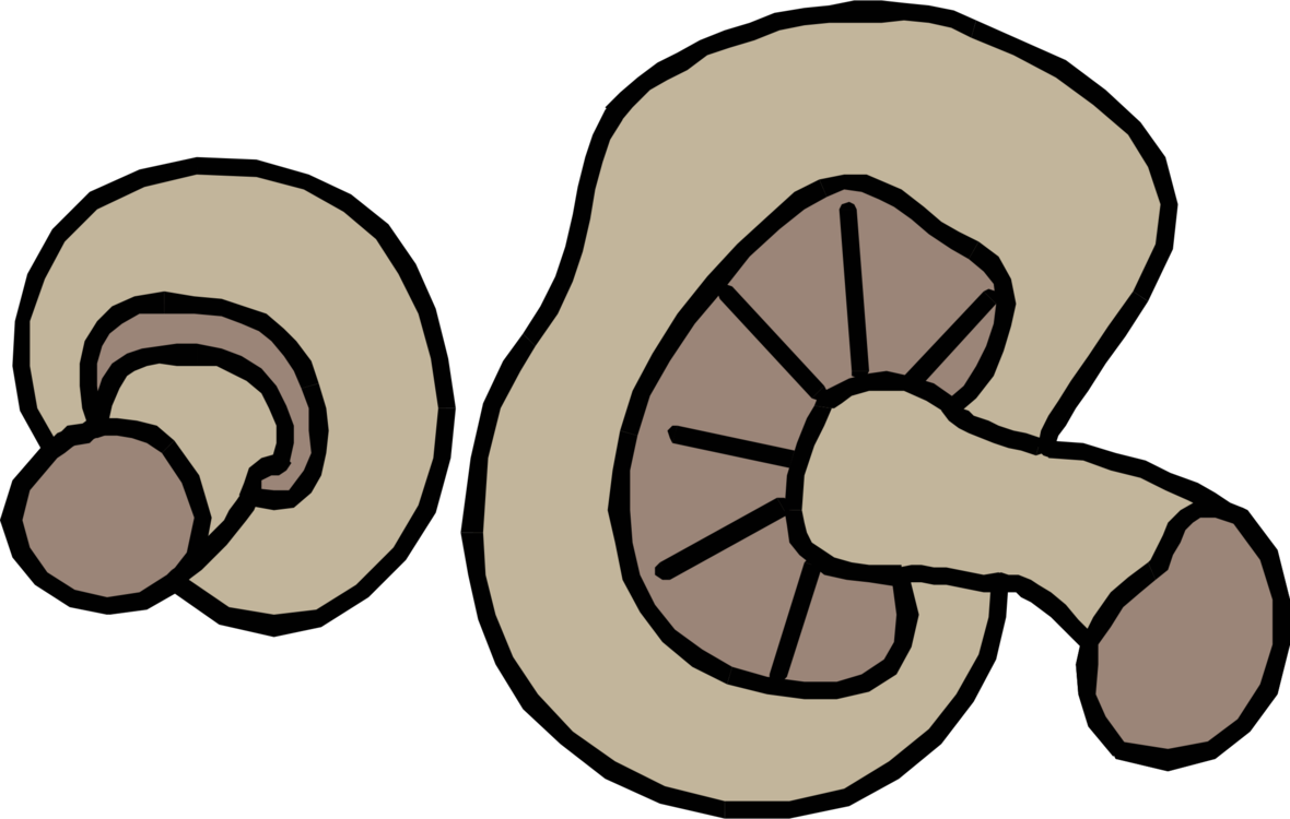 How To Set Use Mushrooms Icon Png (900x571), Png Download