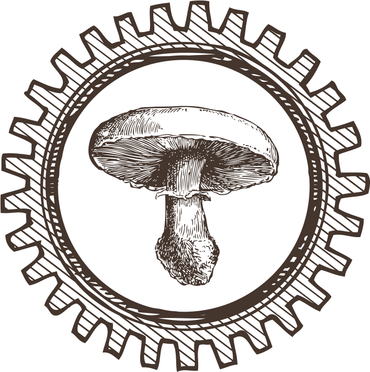 Mushrooms Png (1000x1000), Png Download