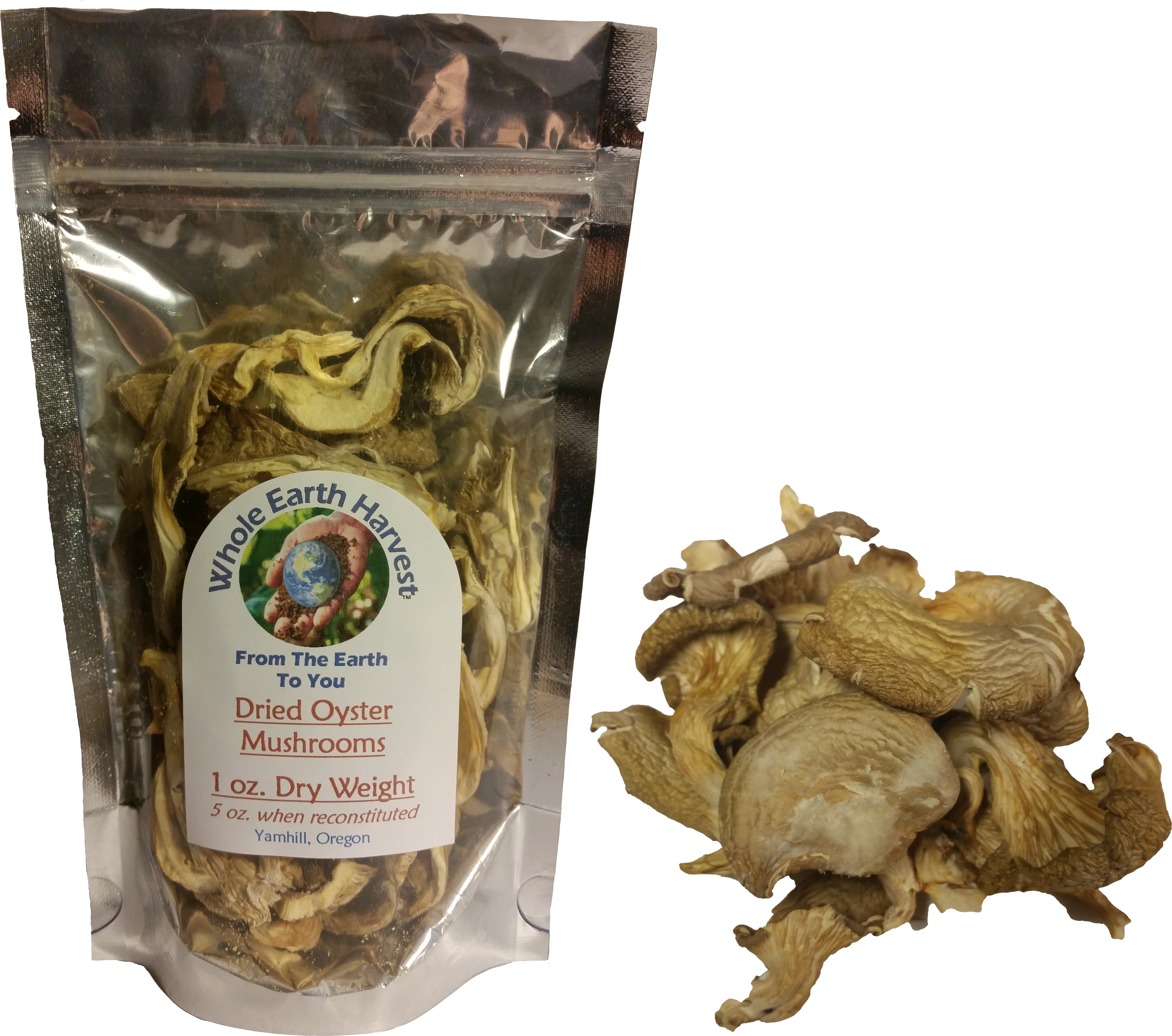Dried Oyster Mushrooms (5400x4682), Png Download
