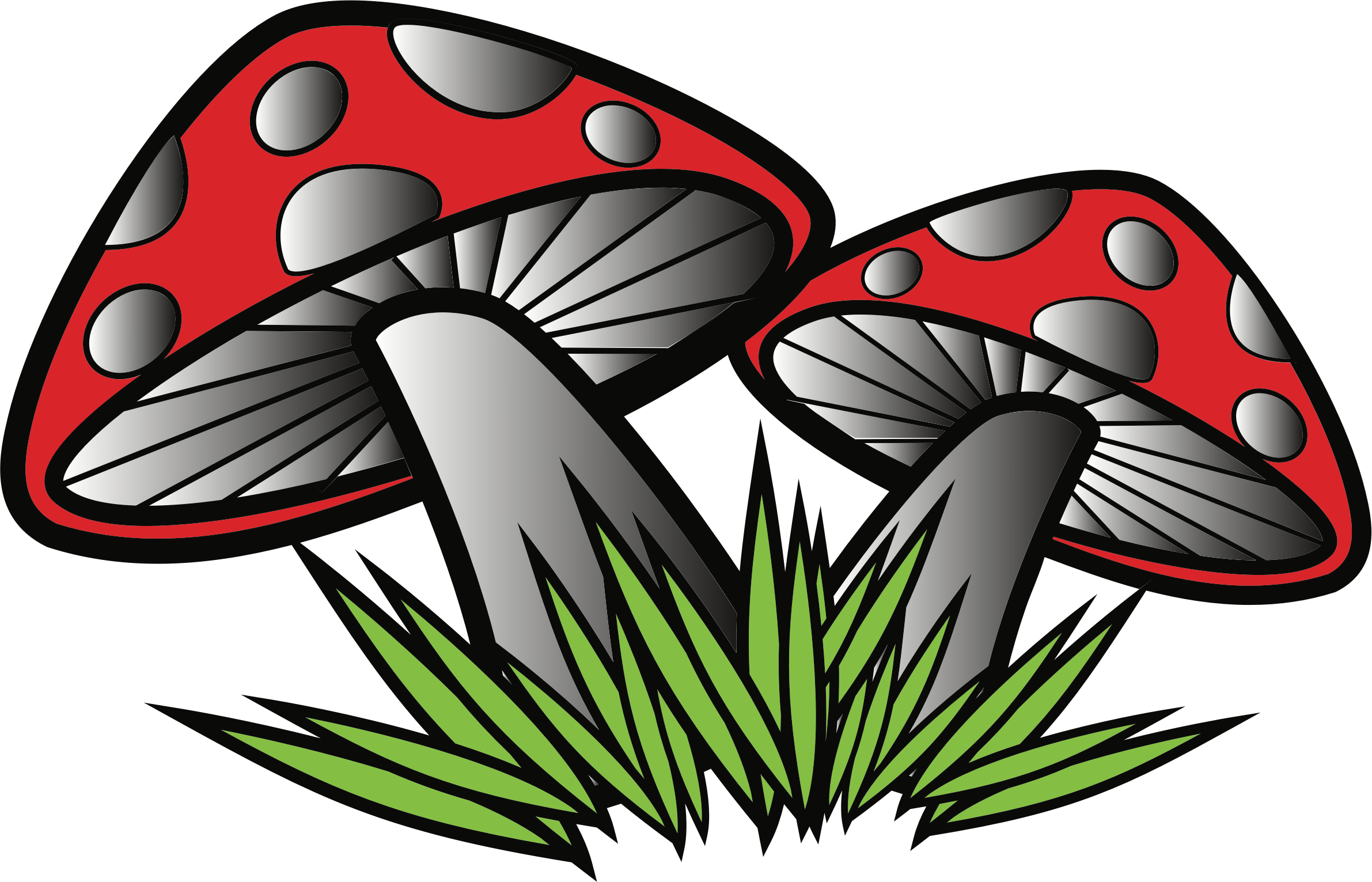 Big Image - Mushroom (2382x1531), Png Download