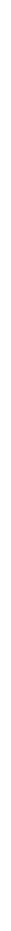 Vertical Line White - Twitter White Icon Png (500x1084), Png Download
