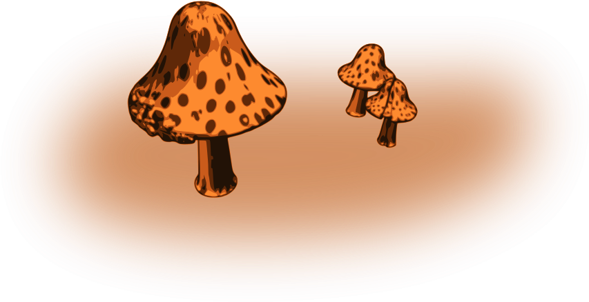 Mushrooms Png (900x454), Png Download