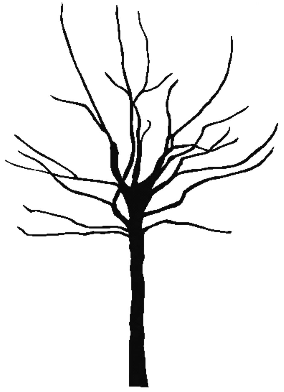 Clip Art Family Tree Outline - Tree Trunk Silhouette Png (940x1295), Png Download