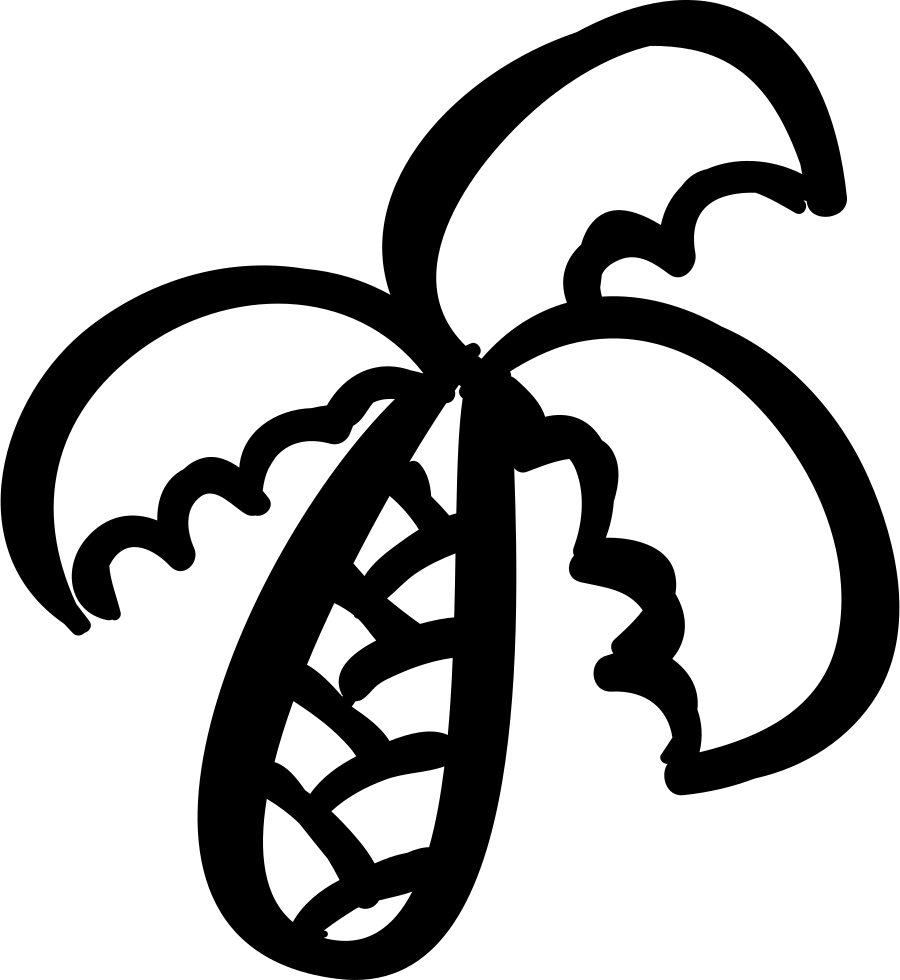 Tropical Palm Tree Outline - Palm Trees - Free Transparent PNG Download ...