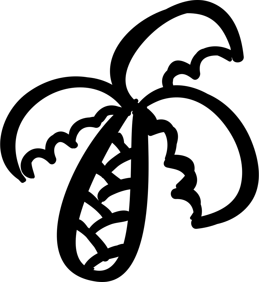 Tropical Palm Tree Outline - Palm Trees (900x980), Png Download