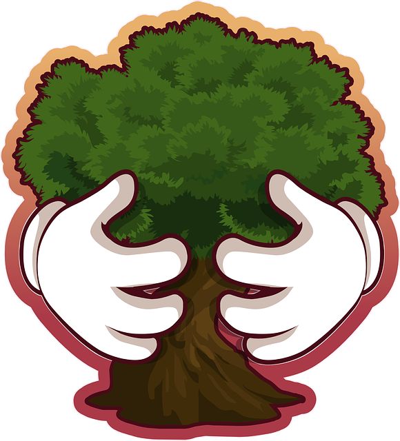Save Tree Png Pic - Tree Conservation (580x640), Png Download