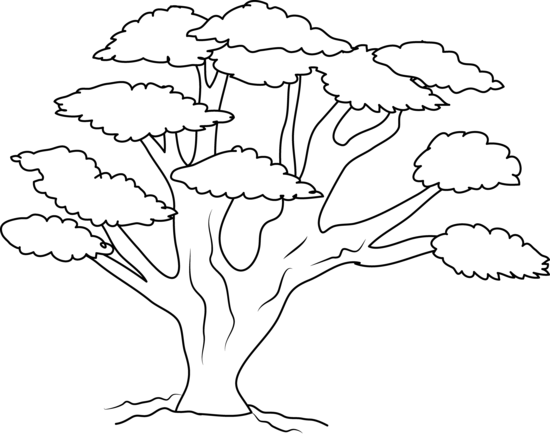 Oak Tree Clip Art Black White - Oak (550x438), Png Download