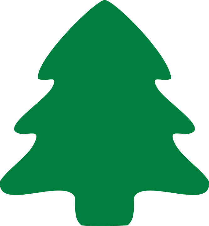 Cute Christmas Tree, Green Christmas Tree, Beautiful - Christmas Tree Png (666x720), Png Download