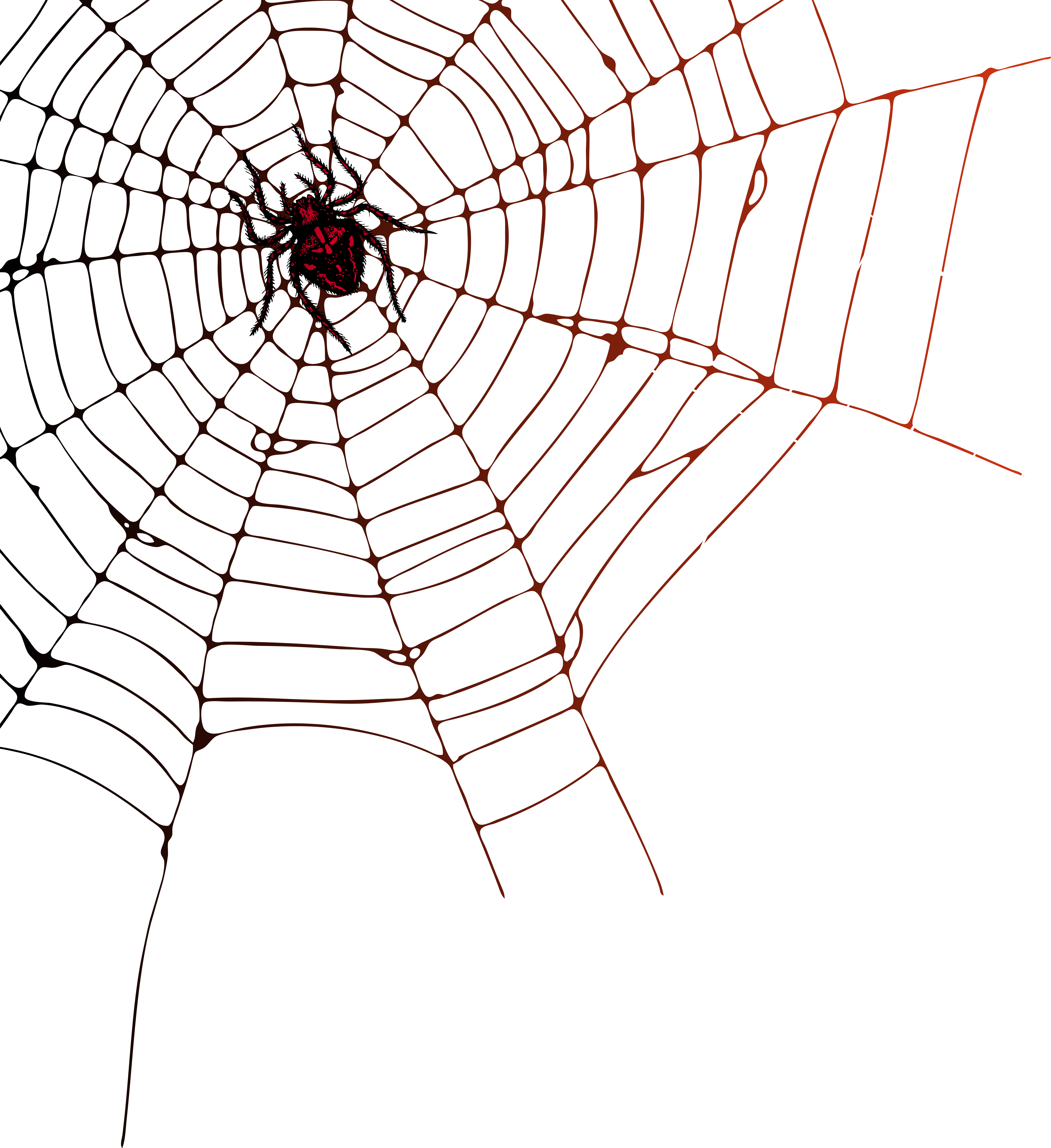 Spider Web Png Clip Art Image (7329x8000), Png Download