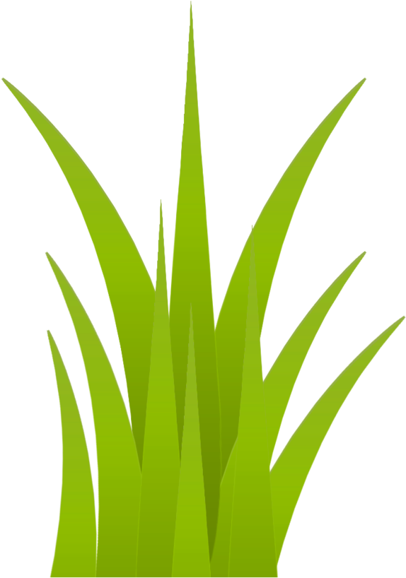 Download Grama 1 Year, Safari, Stencils, Grass, Vinyls, Leaves, - Grass PNG  Image with No Background - PNGkey.com