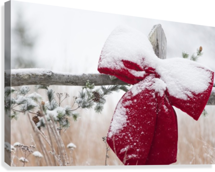 Fresh Snow On Holiday Bow And Decorations On Fence - Printscapes Wall Art: 36" X 24" Canvas Print With Black (429x344), Png Download