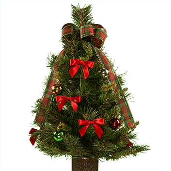 We Also Have The Patented “stay In The Vase” Red Poinsettias, - Christmas Tree (353x353), Png Download