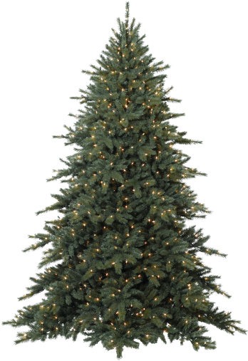 Arboles Navidad Png10 - Fraser Fir Tree (400x600), Png Download