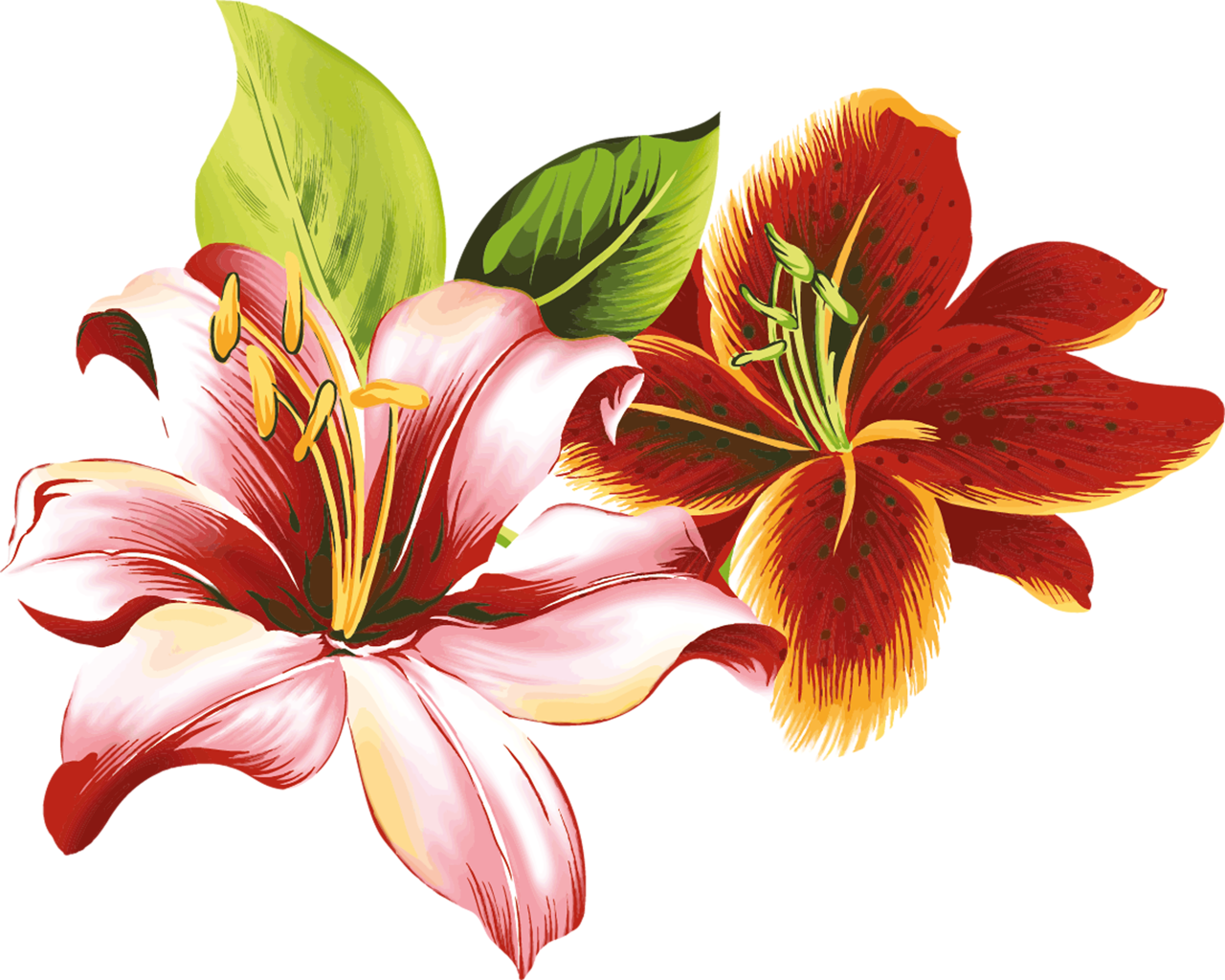 Flores Vectoriales Con Fondo Transparente - Fleur De Lili (1280x1024), Png Download
