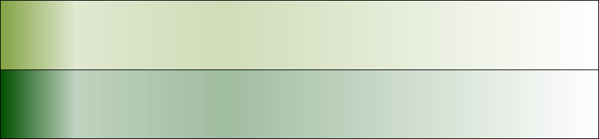 Hakonechloa Macra 'aureola' “golden Hakon Grass” The - Beige (862x200), Png Download