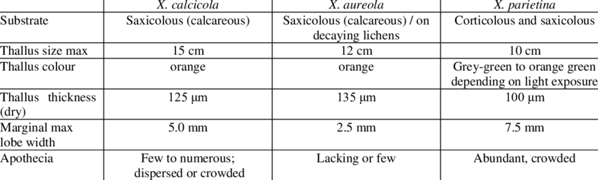 The Main Differences In The External Features Of The - Number (850x256), Png Download
