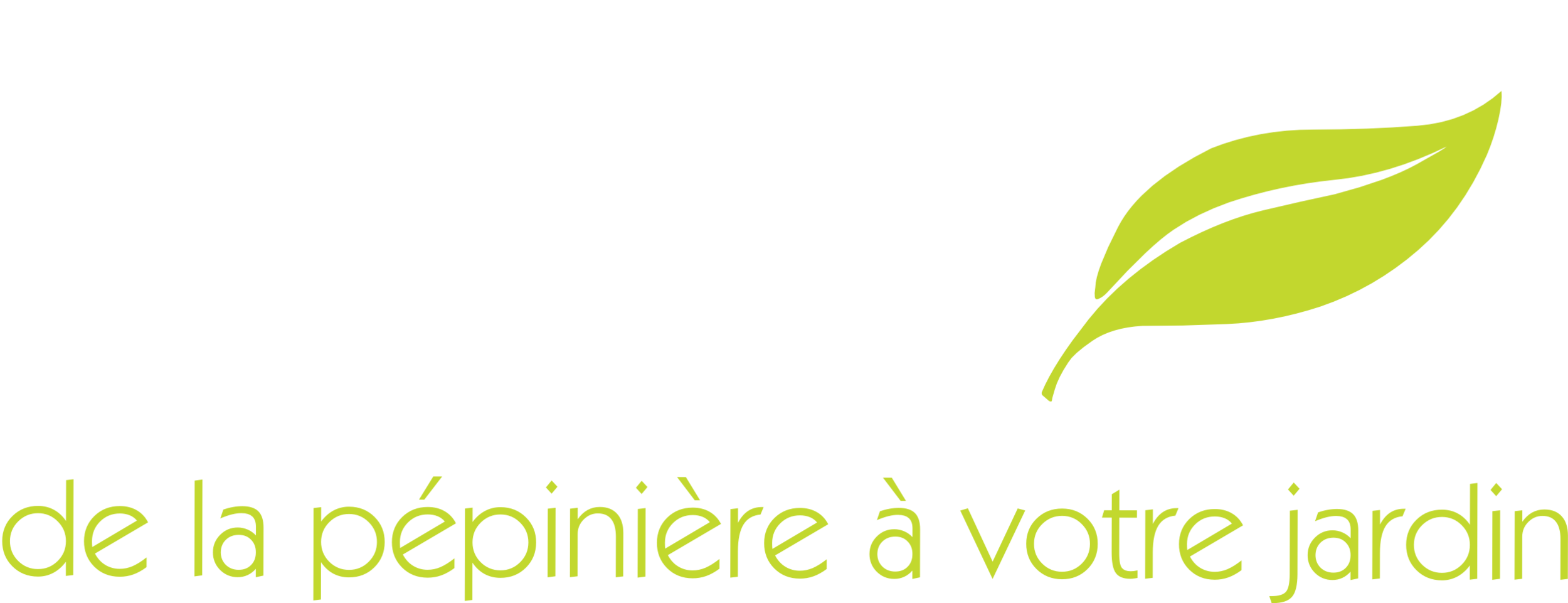 Carré Vert Pépinière - Hydrangea (2500x961), Png Download