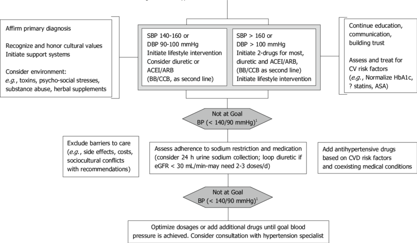 Algorithm For Hypertension Treatment In African American - African American Hypertension Medication (850x496), Png Download