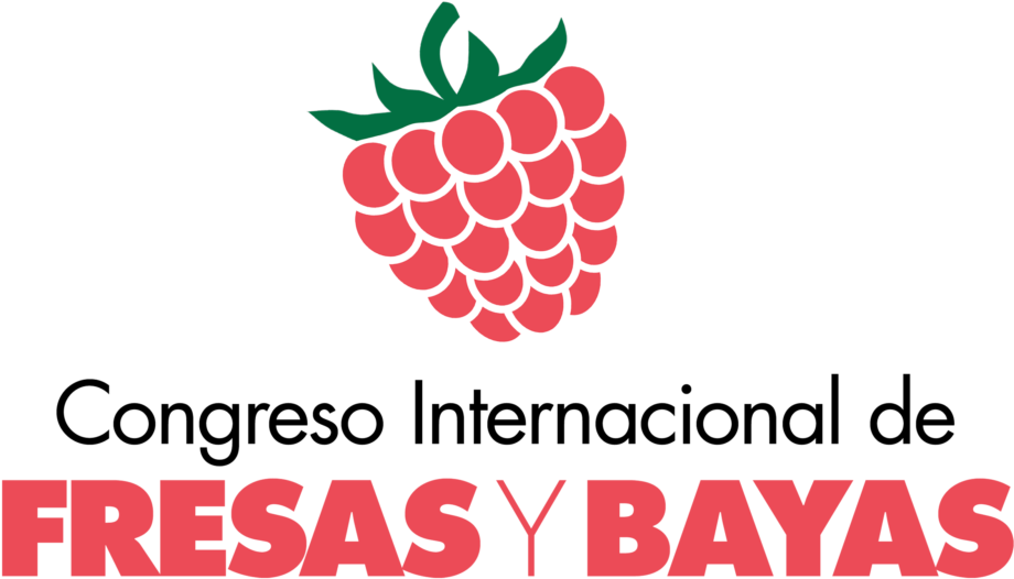 Mejor Ejemplo Que El De La Industria Denominada De - Anadolu Hayat Emeklilik A.s (1024x615), Png Download