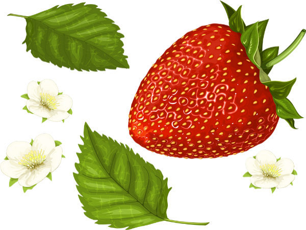 Fraise Png, Tube - Strawberry - Fraise - Skull Manches Longues,t-shirt (600x450), Png Download