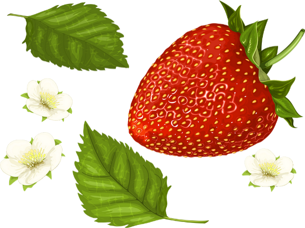 Download Fraise Png Tube Strawberry Fraise Skull Manches Longues T Shirt Png Image With No Background Pngkey Com Download Fraise Png Tube Strawberry Fraise Skull Manches Longues T Shirt Png Image With No Background Pngkey Com