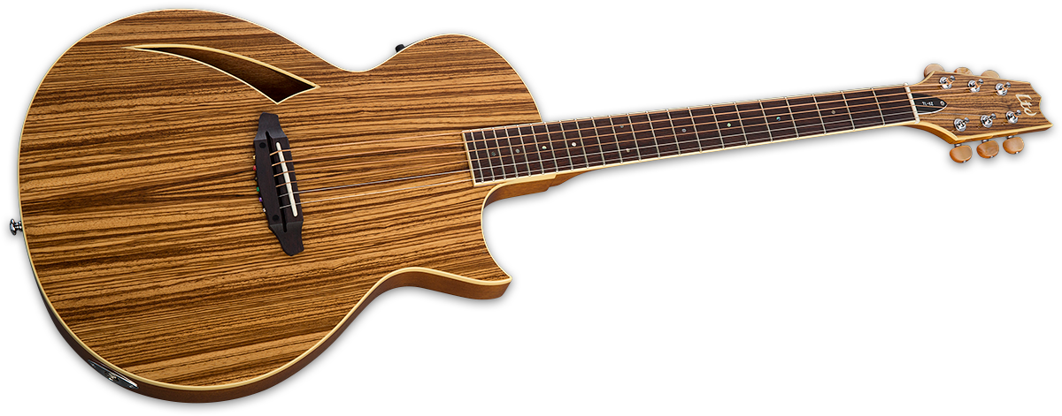 Large - Esp Ltd Tl-6z Thinline Series Acoustic Electric Guitar (1200x483), Png Download