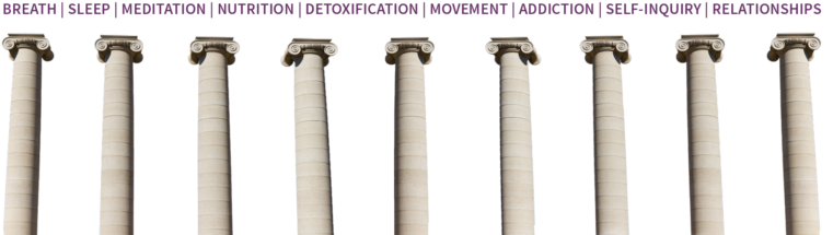 9 Pillars Of Wellness - Wellness (780x229), Png Download