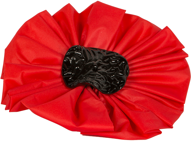 7x5a4142 Poppy Recycled 768x569px - Fallen Poppy Petals Png (768x569), Png Download