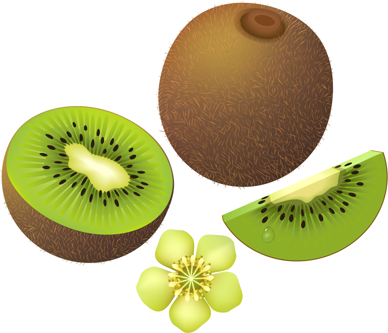 Яндекс - Фотки - Clip Art (1600x1344), Png Download