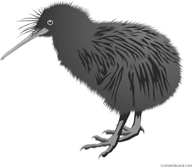 Kiwi Bird Clipart Library Download - Kiwi-vogel Postkarte (800x717), Png Download