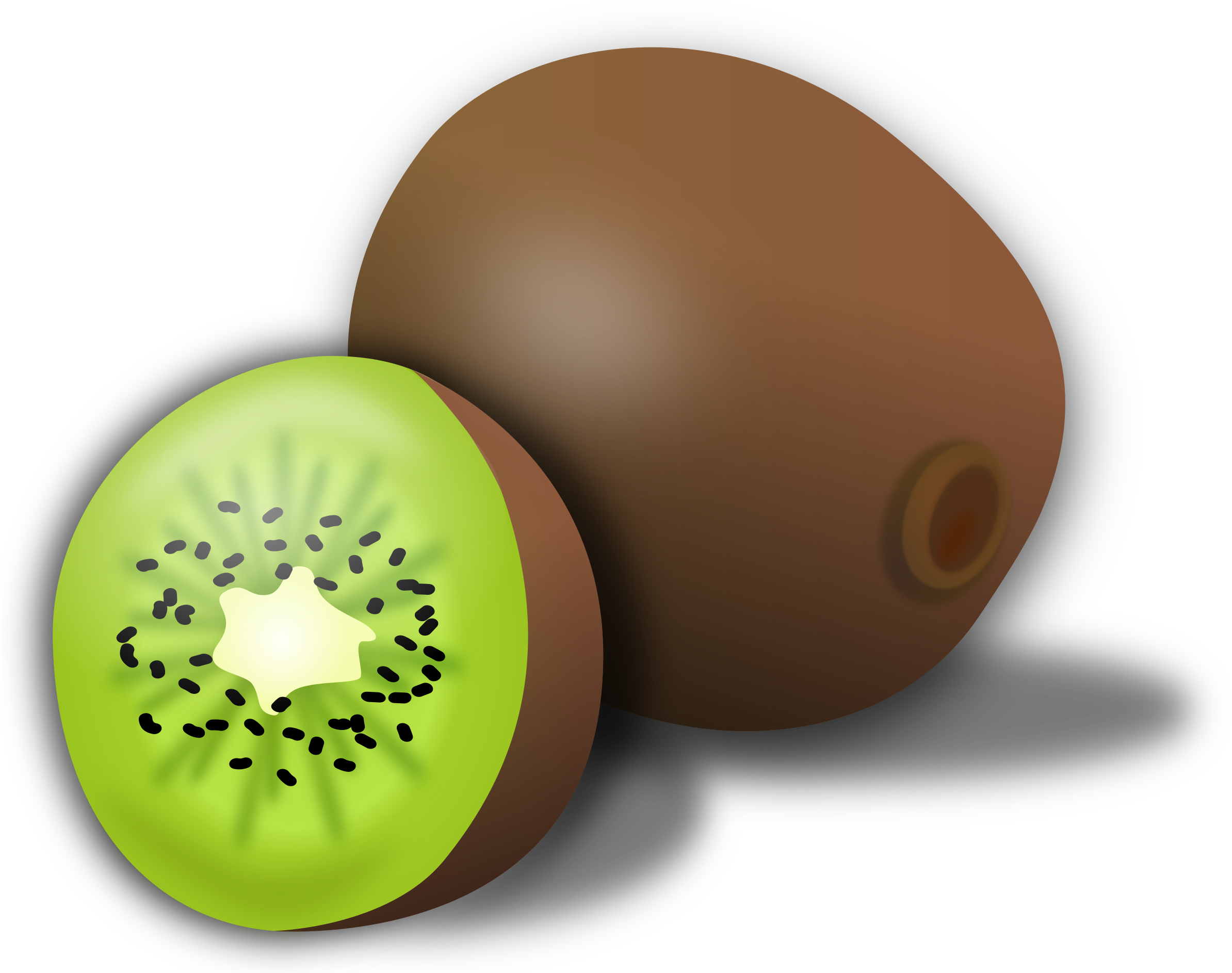 Kiwi Clipart (1024x814), Png Download