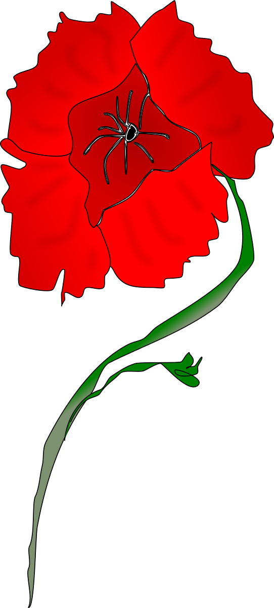 Red Poppy Clipart - Png Red Poppy Art (361x800), Png Download
