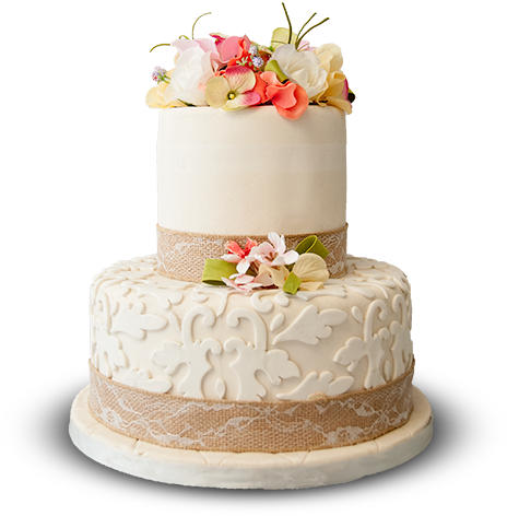 We Specialize In Stunning Designs And Gorgeous Cakes - Florida (490x500), Png Download