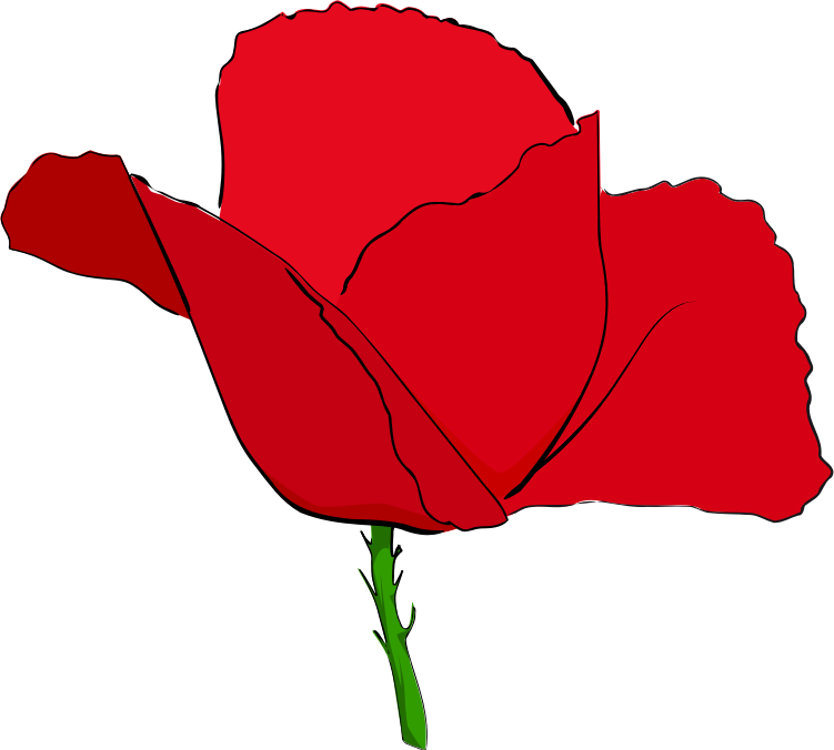 Poppy Clipart Public Domain - Red Image Of Poppy Flower (751x676), Png Download