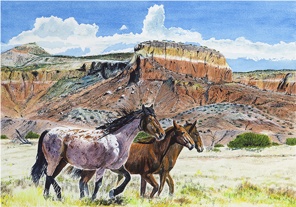 Abiqui Mustangs - Mare (575x575), Png Download