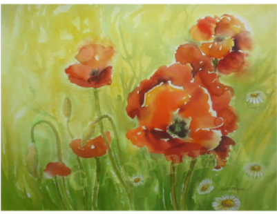 California Poppy (400x400), Png Download