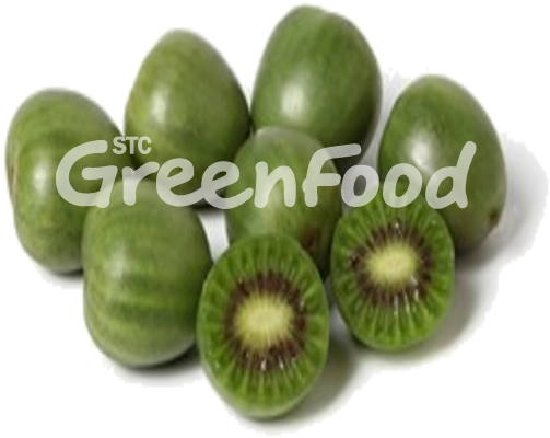 Kiwi - Mini Kiwi (600x600), Png Download