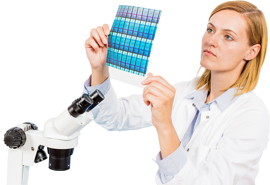 Scientist Png - Scientist Stock Photo Png (1000x667), Png Download