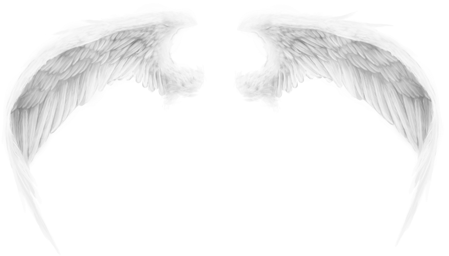Wings By Romanticfae On Clipart Library - Psd Cánh Thiên Thần (1024x581), Png Download