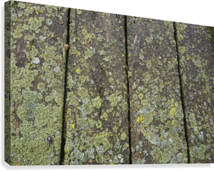 Close Up Of The Wooden Planks On A Picnic Table Covered - Supplier Generic Close Up Of The Wooden Planks On A (429x344), Png Download